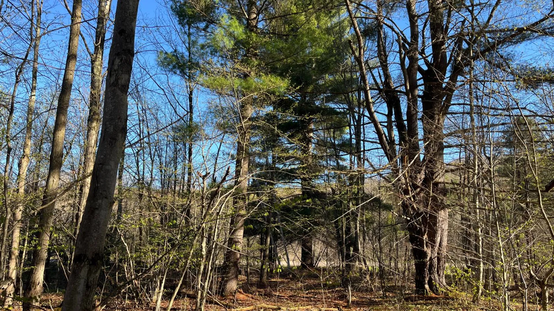 Property at 00 Lafaver Rd, Hermon, NY 13652 14