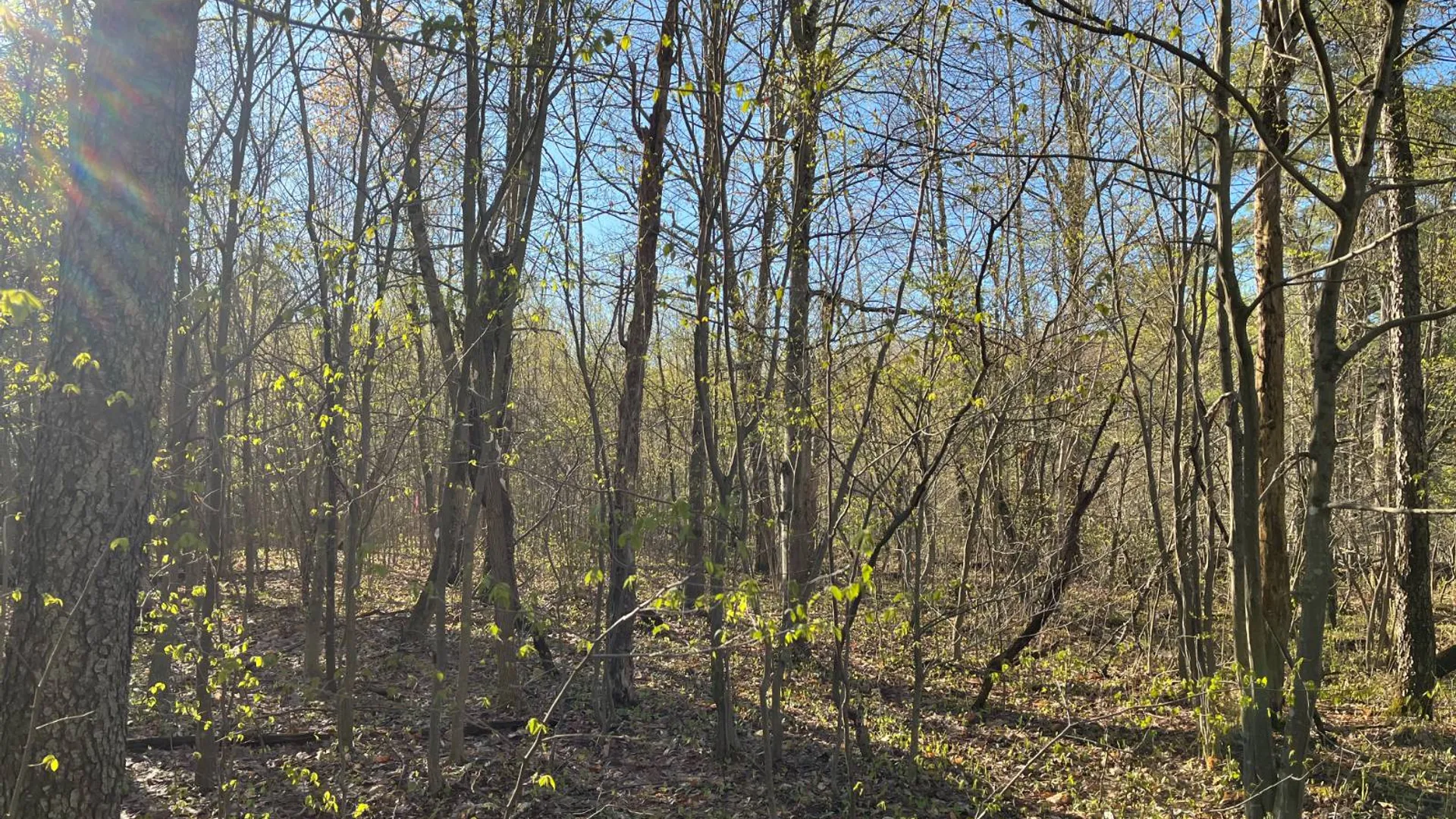 Property at 00 Lafaver Rd, Hermon, NY 13652 15