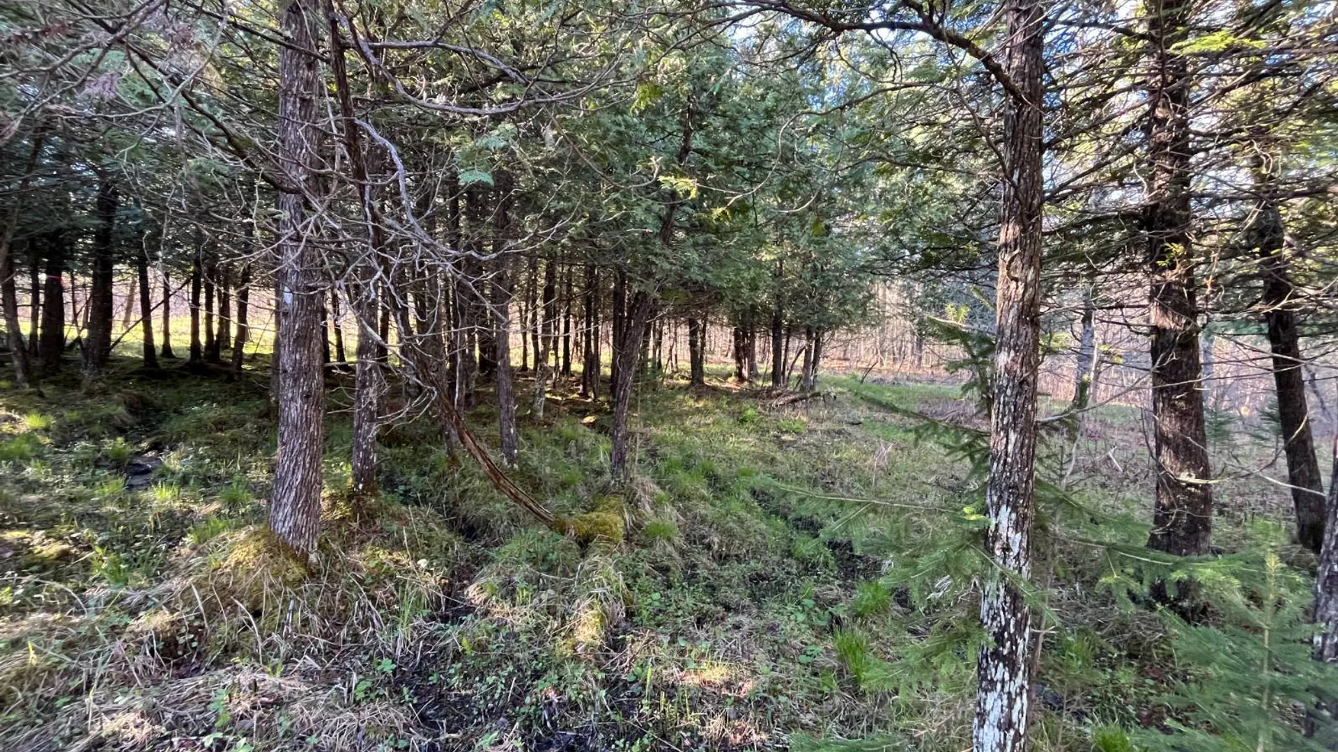 Property at 00 Lafaver Rd, Hermon, NY 13652 16