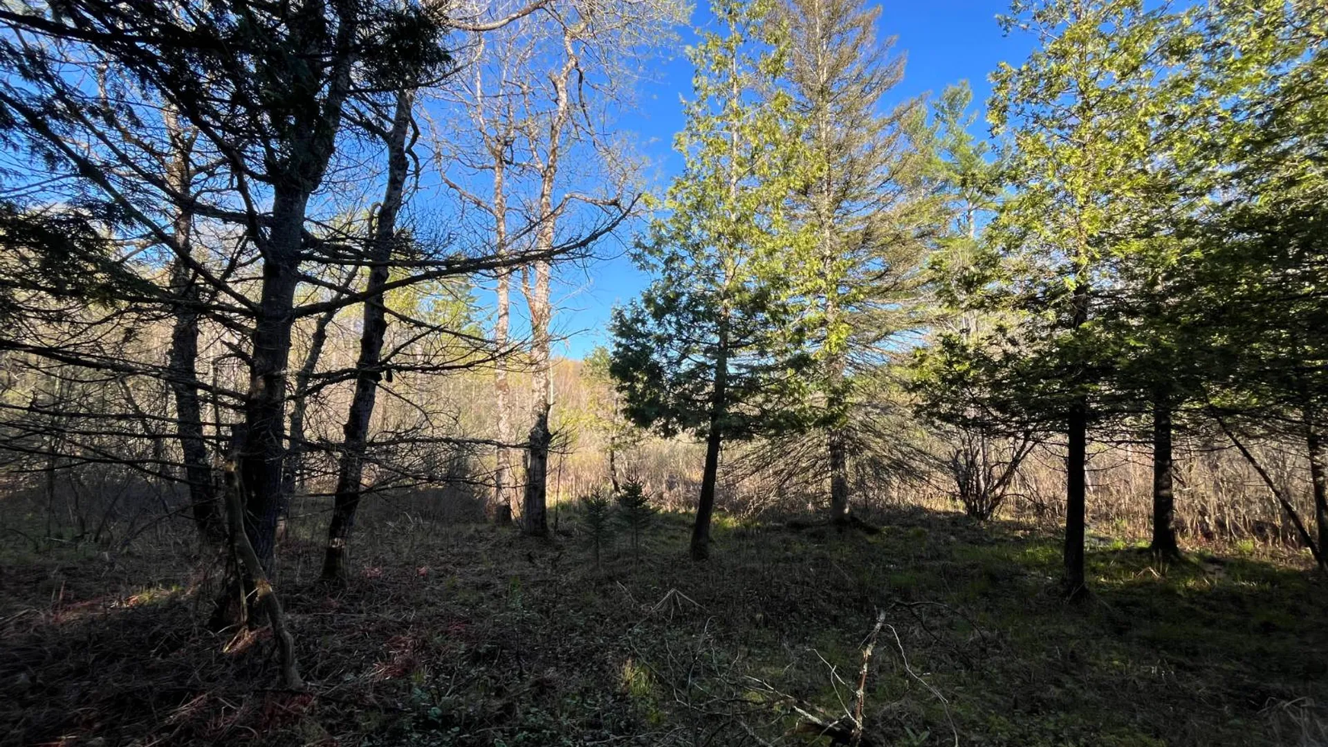 Property at 00 Lafaver Rd, Hermon, NY 13652 17