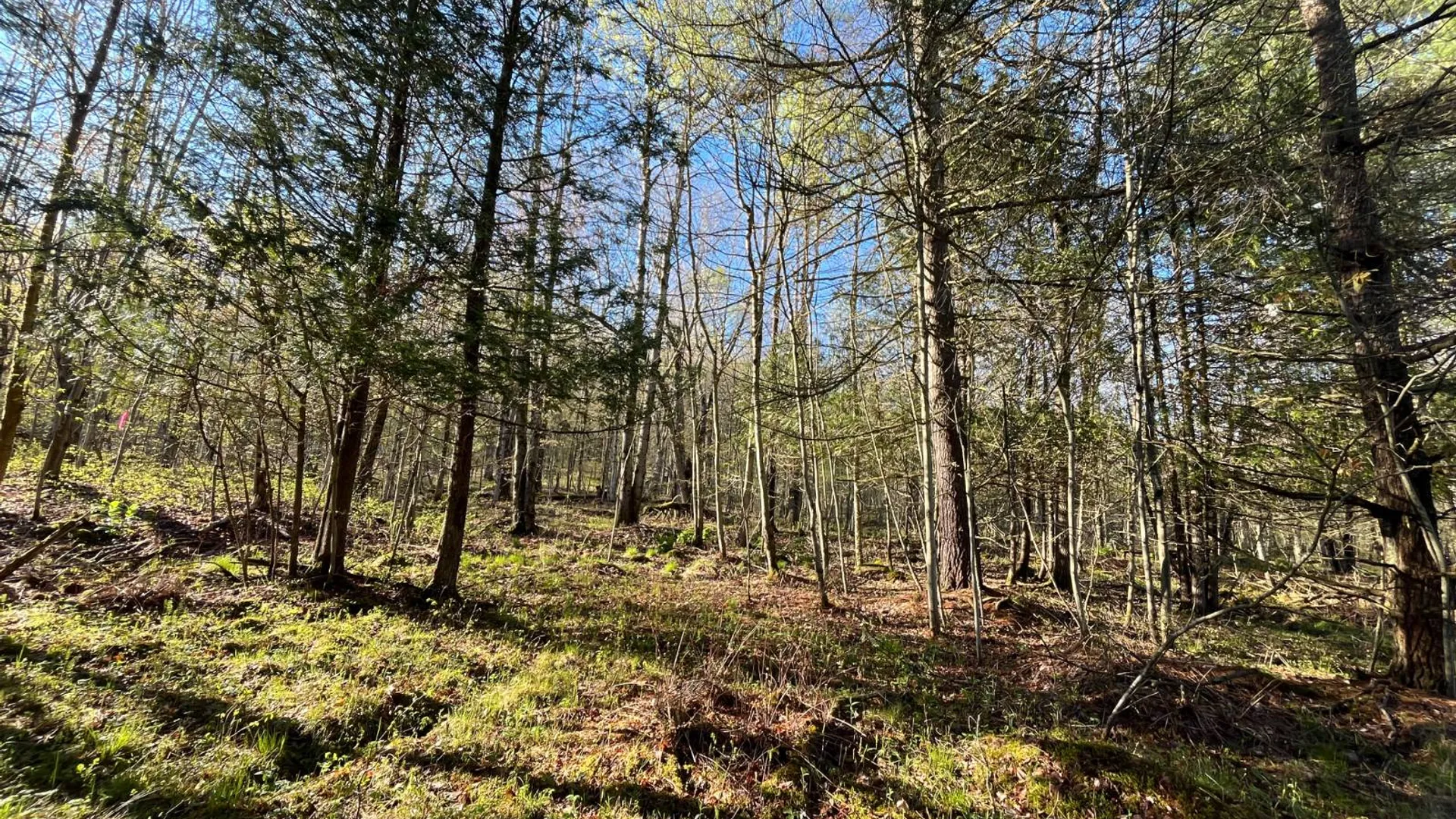 Property at 00 Lafaver Rd, Hermon, NY 13652 18