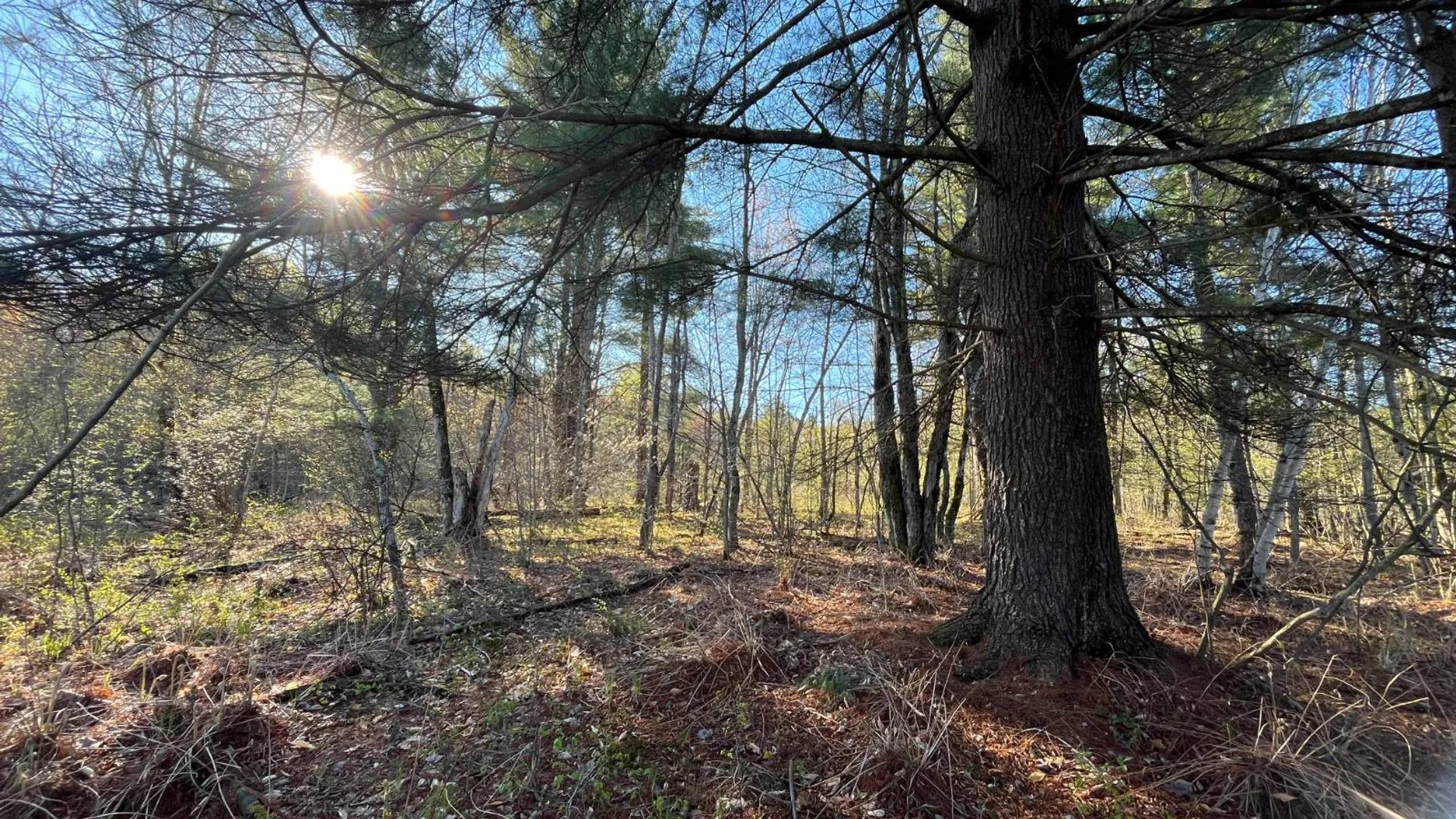 Property at 00 Lafaver Rd, Hermon, NY 13652 3