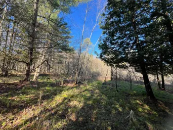 Property at 00 Lafaver Rd, Hermon, NY 13652