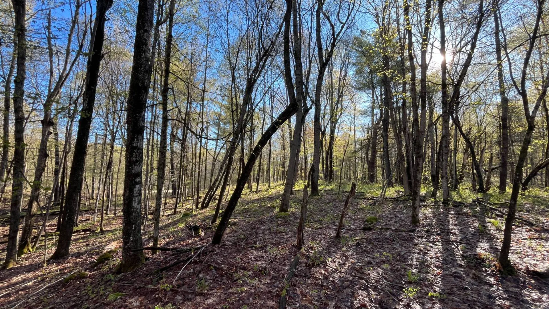 Property at 00 Lafaver Rd, Hermon, NY 13652 12