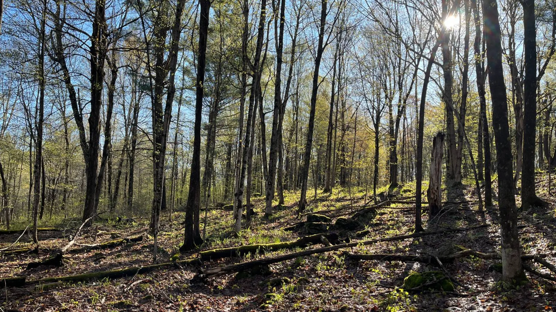 Property at 00 Lafaver Rd, Hermon, NY 13652 13