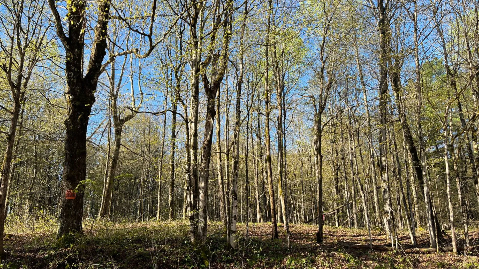 Property at 00 Lafaver Rd, Hermon, NY 13652 14