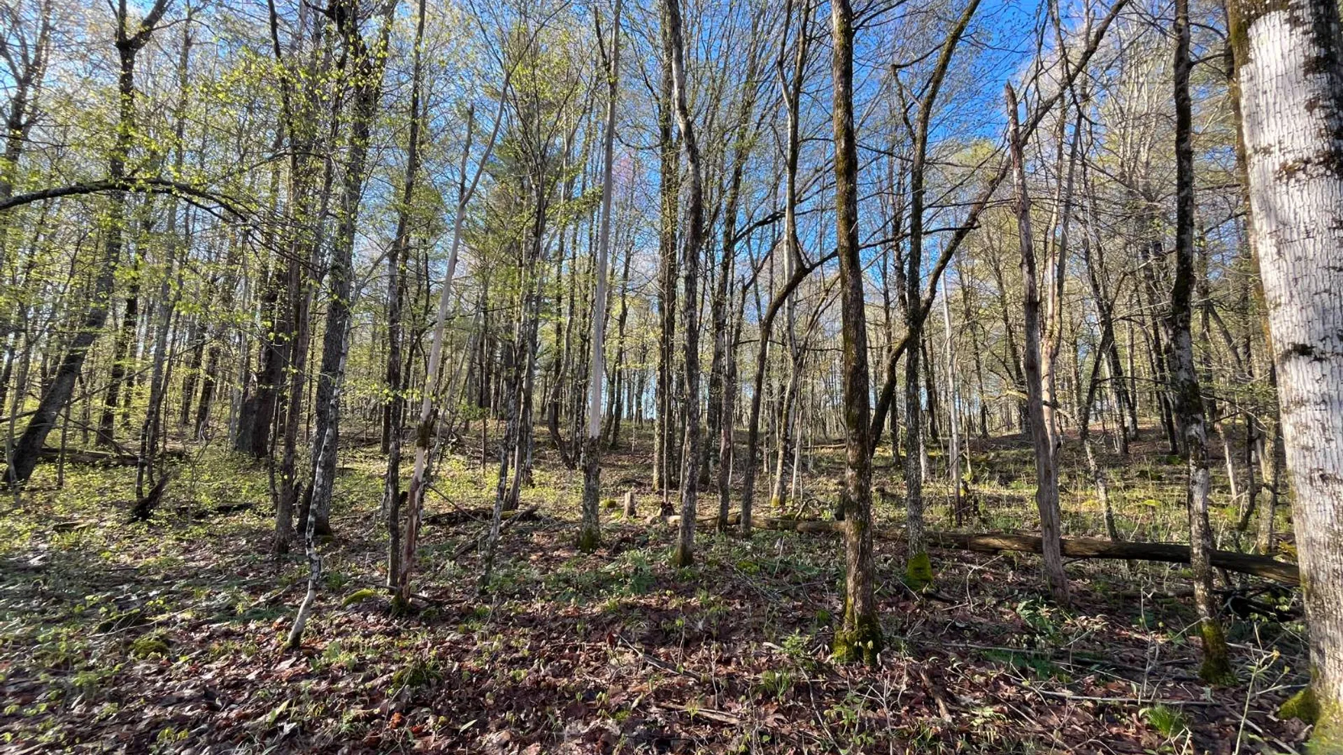 Property at 00 Lafaver Rd, Hermon, NY 13652 15