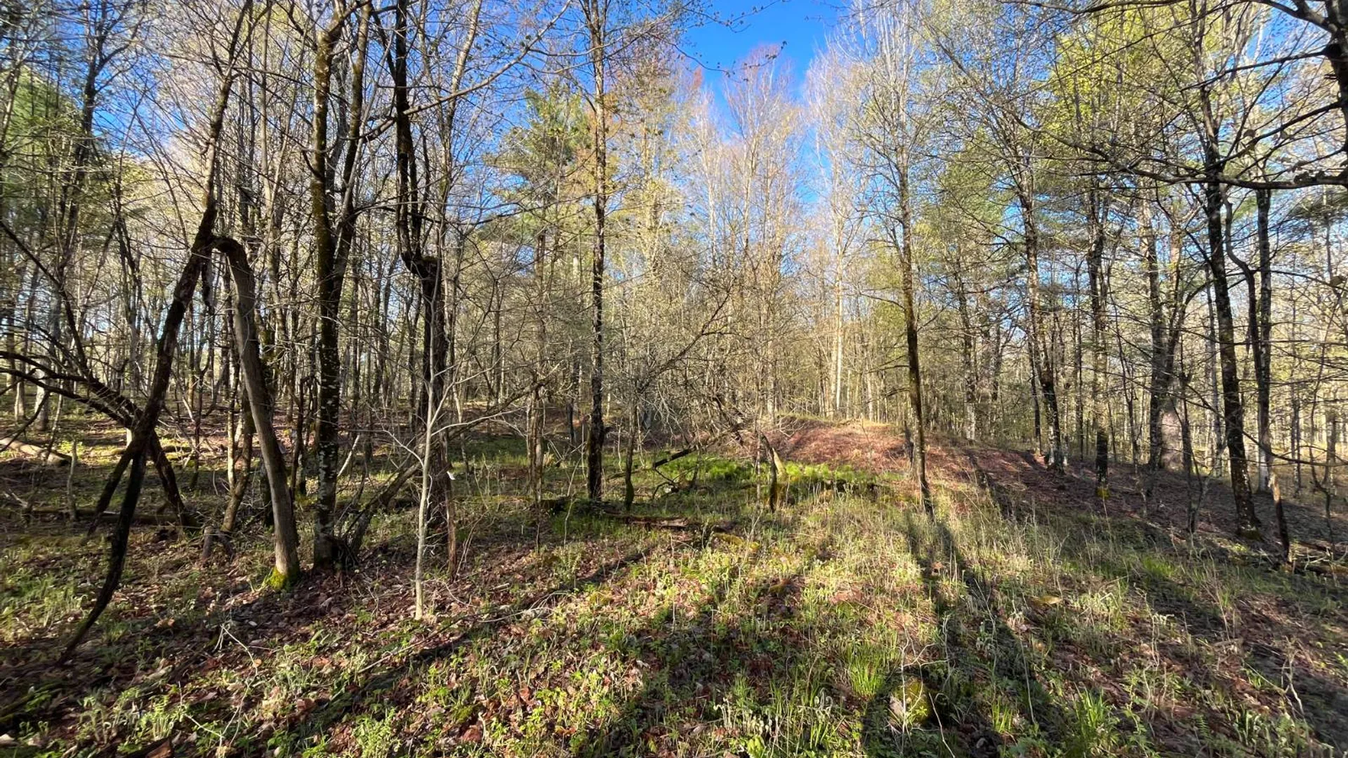Property at 00 Lafaver Rd, Hermon, NY 13652 16