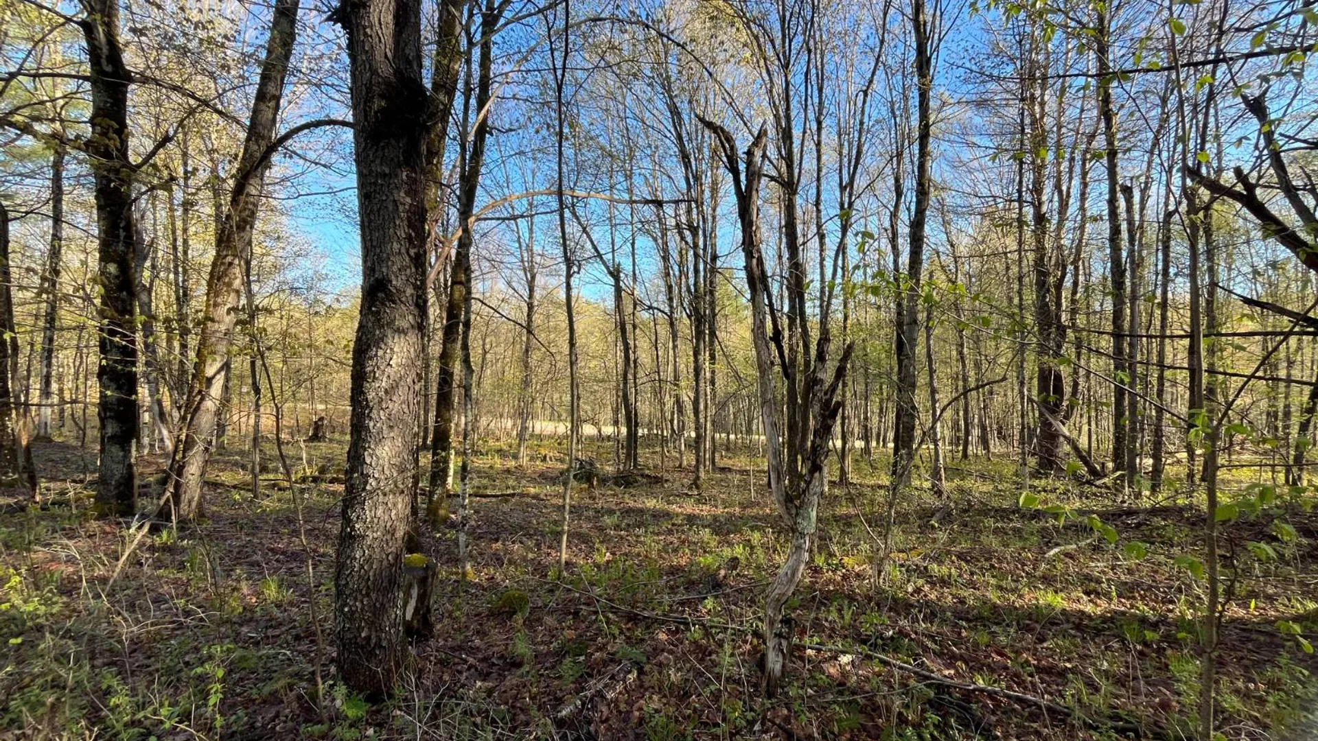 Property at 00 Lafaver Rd, Hermon, NY 13652 17