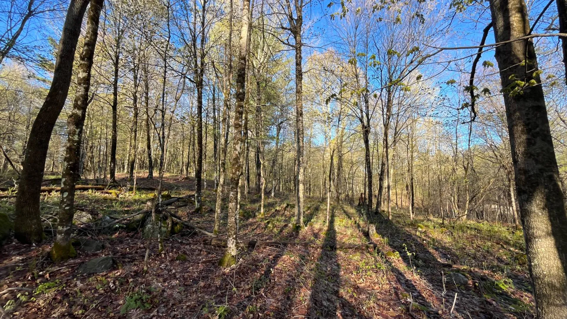 Property at 00 Lafaver Rd, Hermon, NY 13652 2