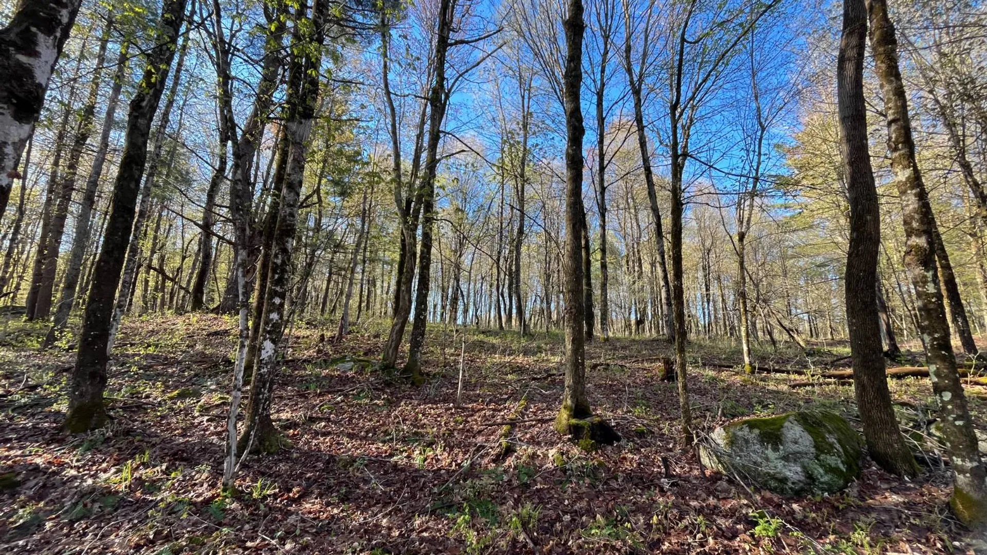 Property at 00 Lafaver Rd, Hermon, NY 13652 3