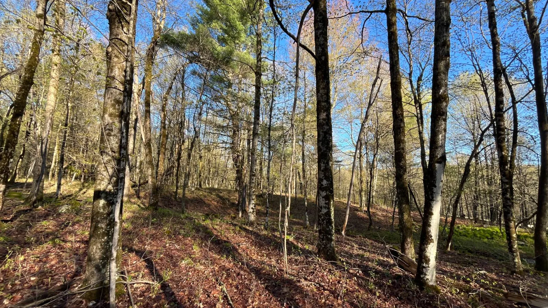 Property at 00 Lafaver Rd, Hermon, NY 13652 8