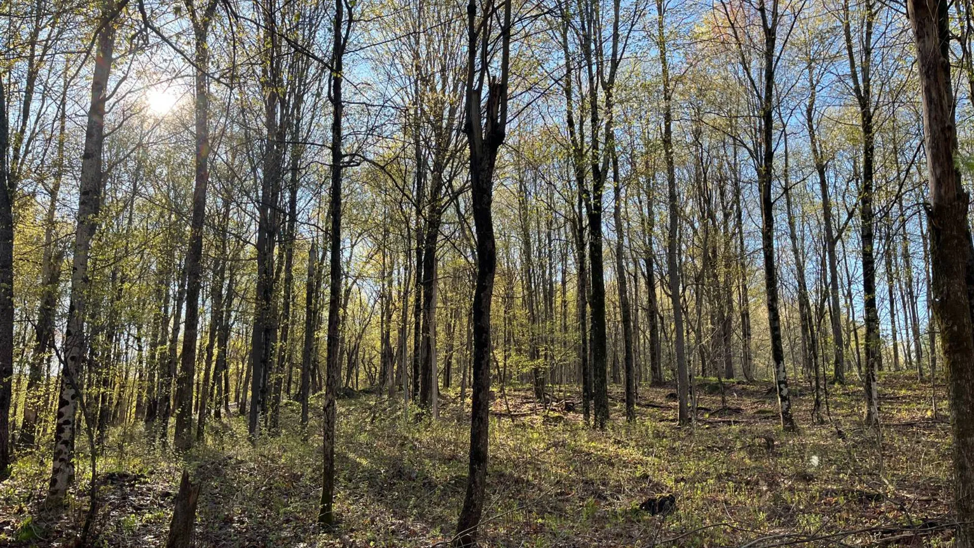 Property at 00 Lafaver Rd, Hermon, NY 13652 9