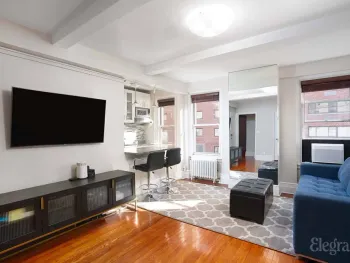 Property at 325 West 45th Street, New York, NY 10036
