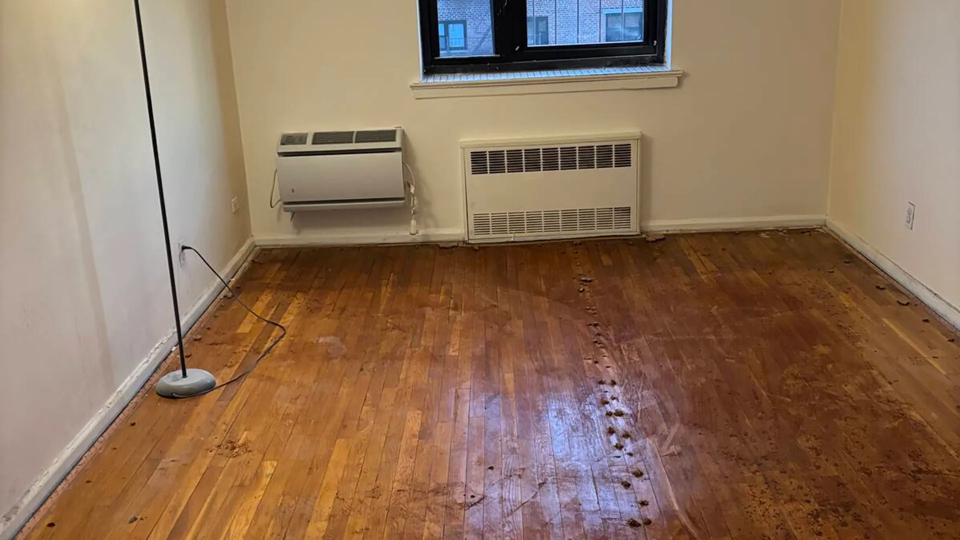 Property at 8829 155th avenue, Howard Beach, NY 11414 12