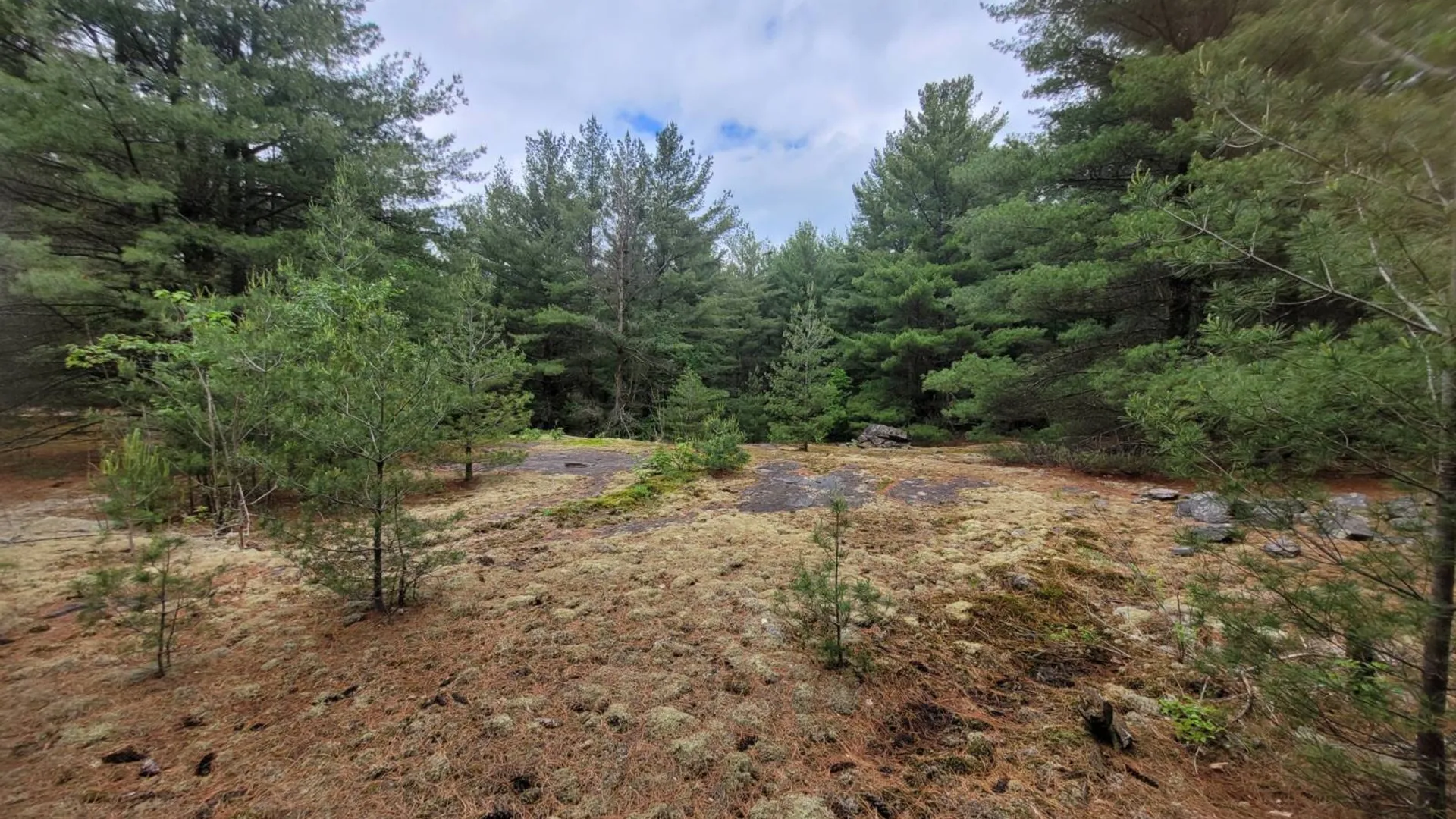 Property at 00 Arnoldville Rd, Diana, NY 13648 3