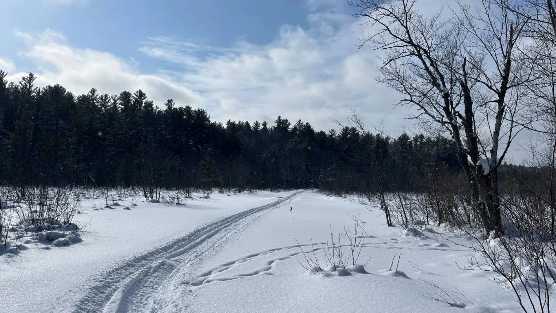 Property at 00 Arnoldville Rd, Diana, NY 13648 14