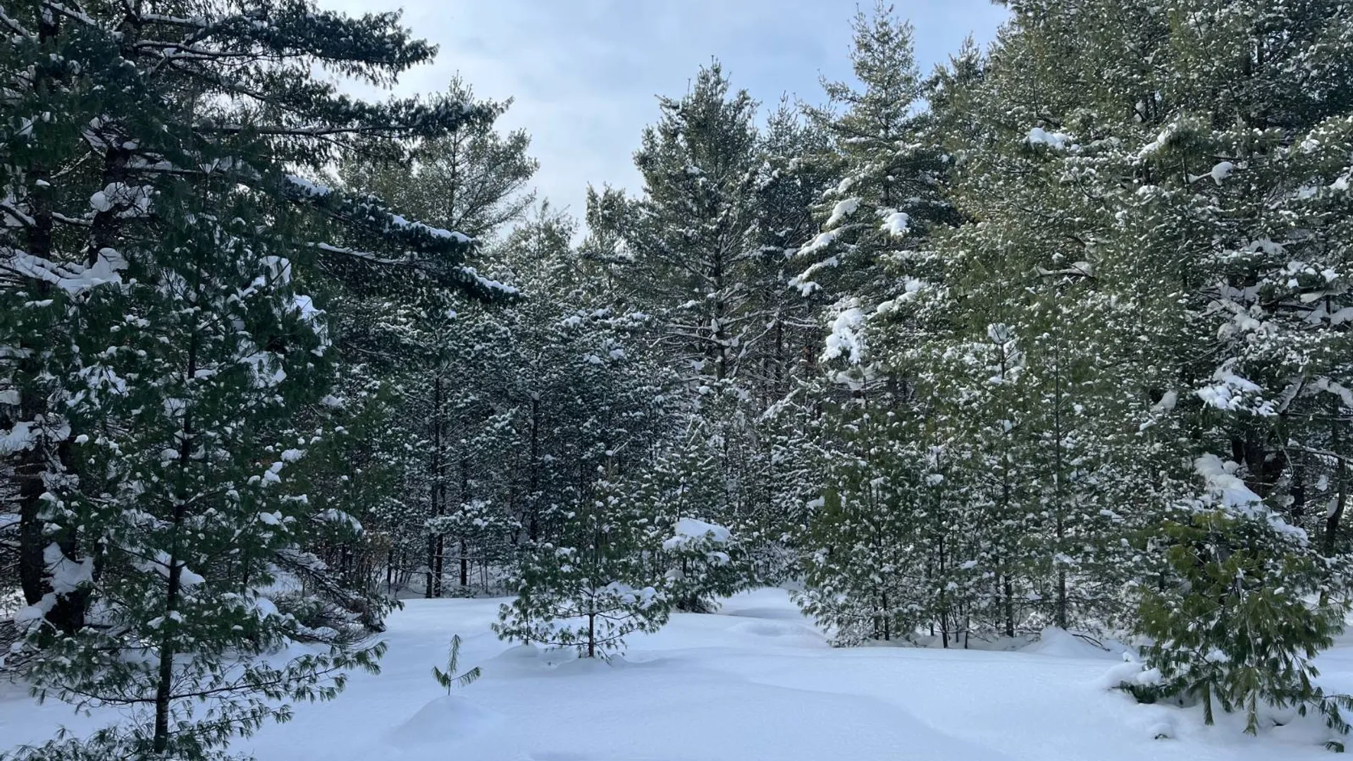 Property at 00 Arnoldville Rd, Diana, NY 13648 20