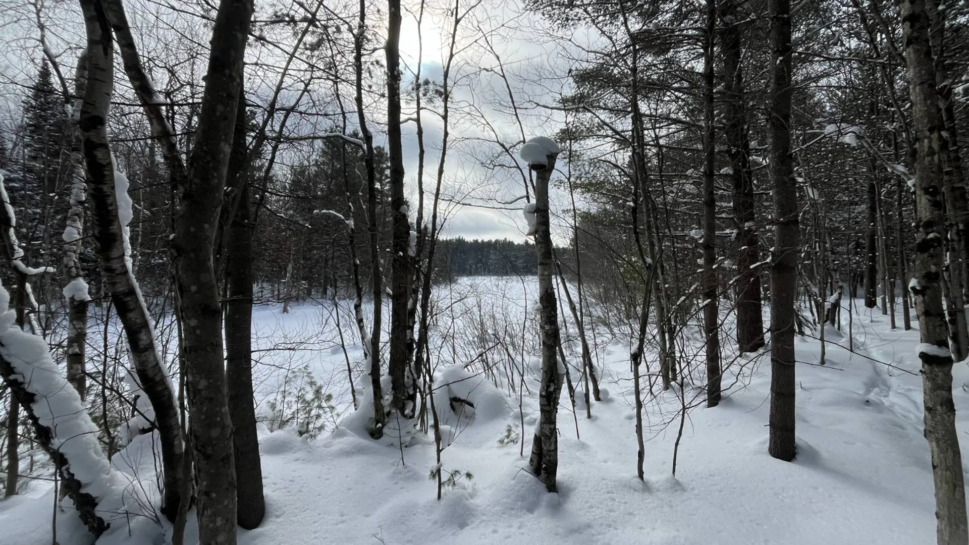 Property at 00 Arnoldville Rd, Diana, NY 13648 21