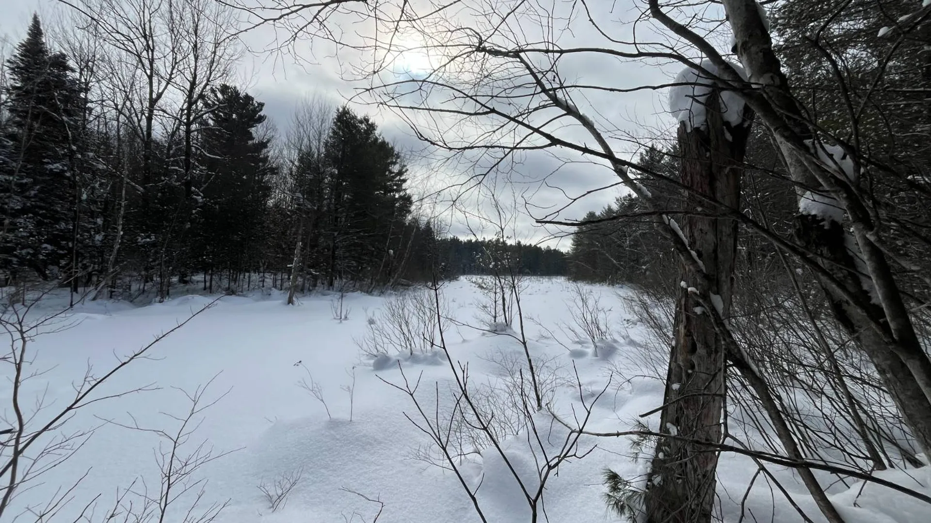 Property at 00 Arnoldville Rd, Diana, NY 13648 22