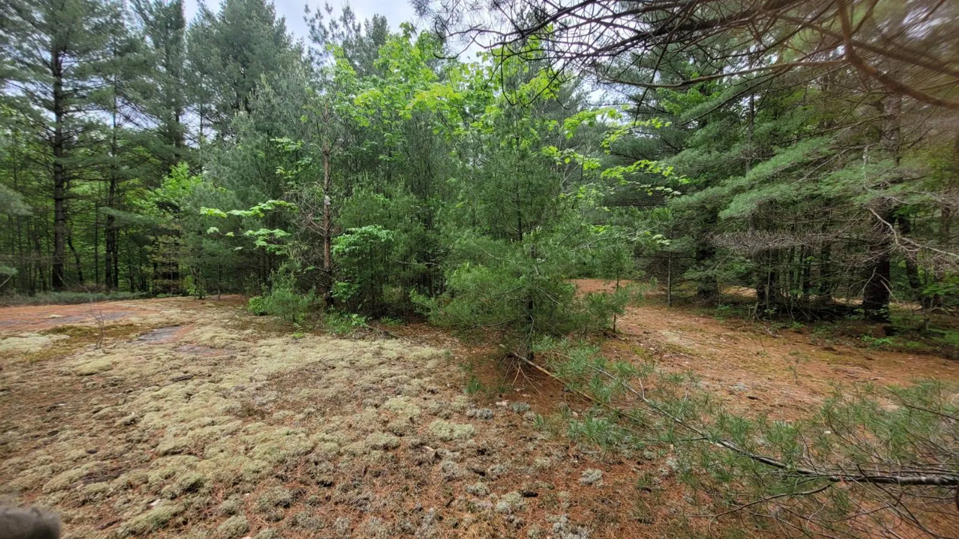 Property at 00 Arnoldville Rd, Diana, NY 13648 6
