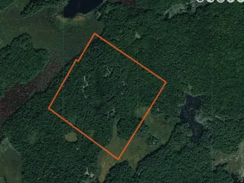 Property at 00 Arnoldville Rd, Diana, NY 13648