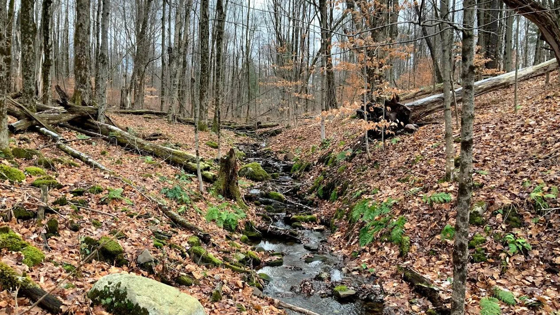 Property at 2828 County Route 22, Richland, NY 13144 10