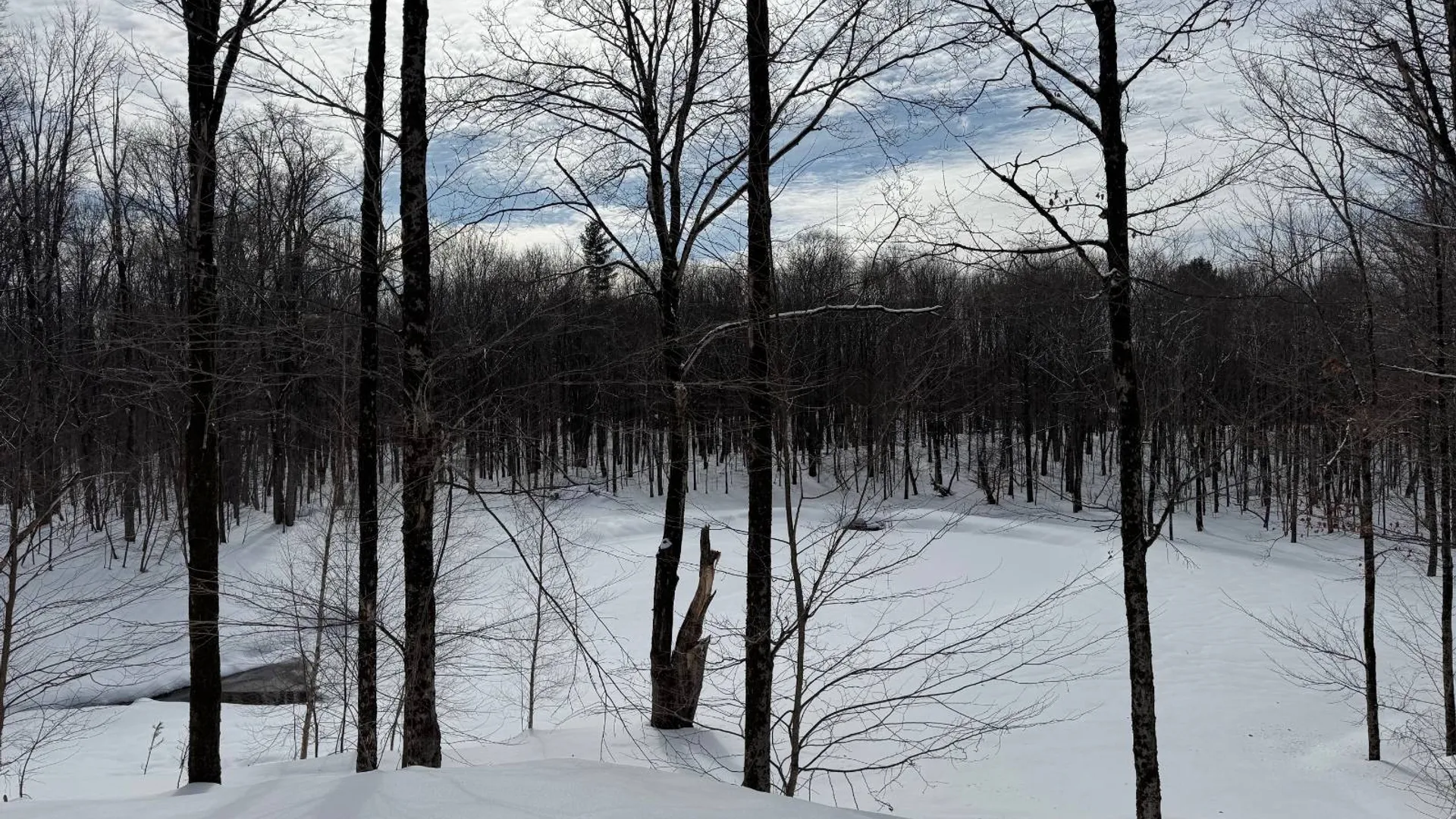 Property at 2828 County Route 22, Richland, NY 13144 24