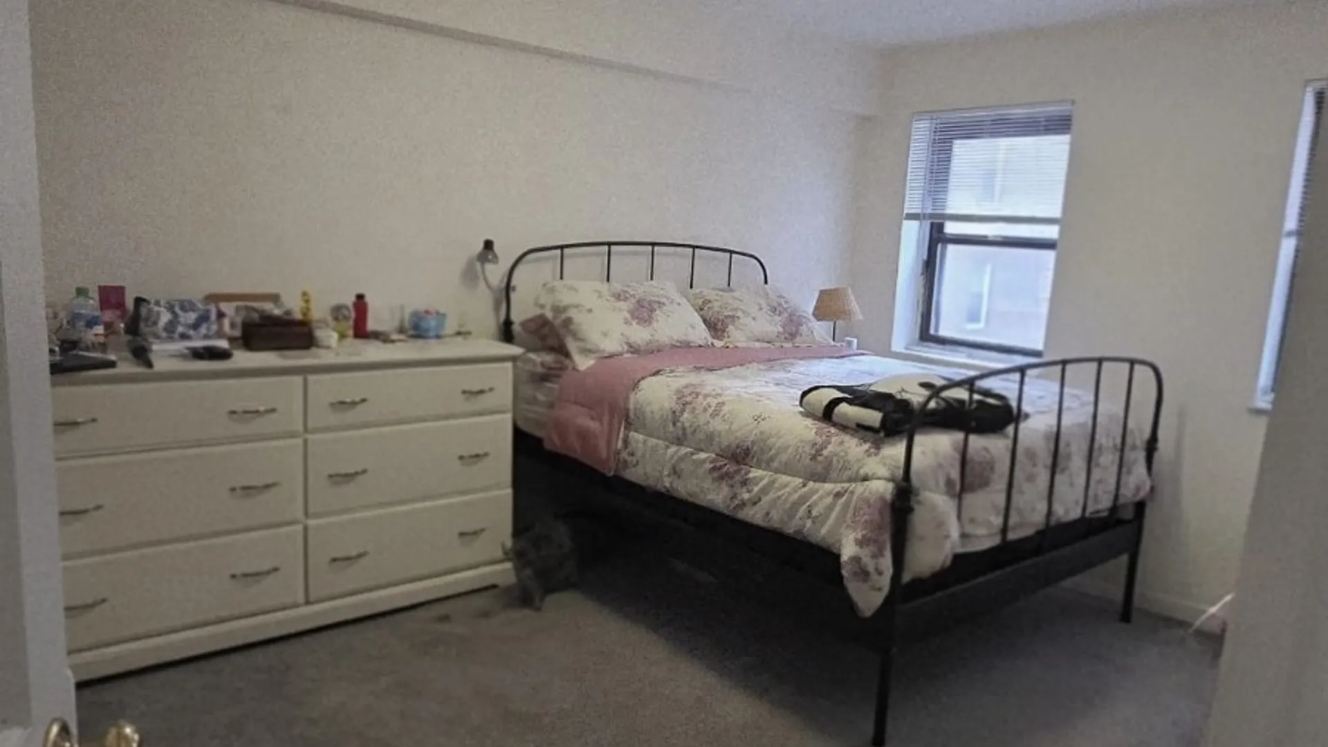 Property at 11860 Metropolitan Ave., Kew Gardens, NY 11415 12