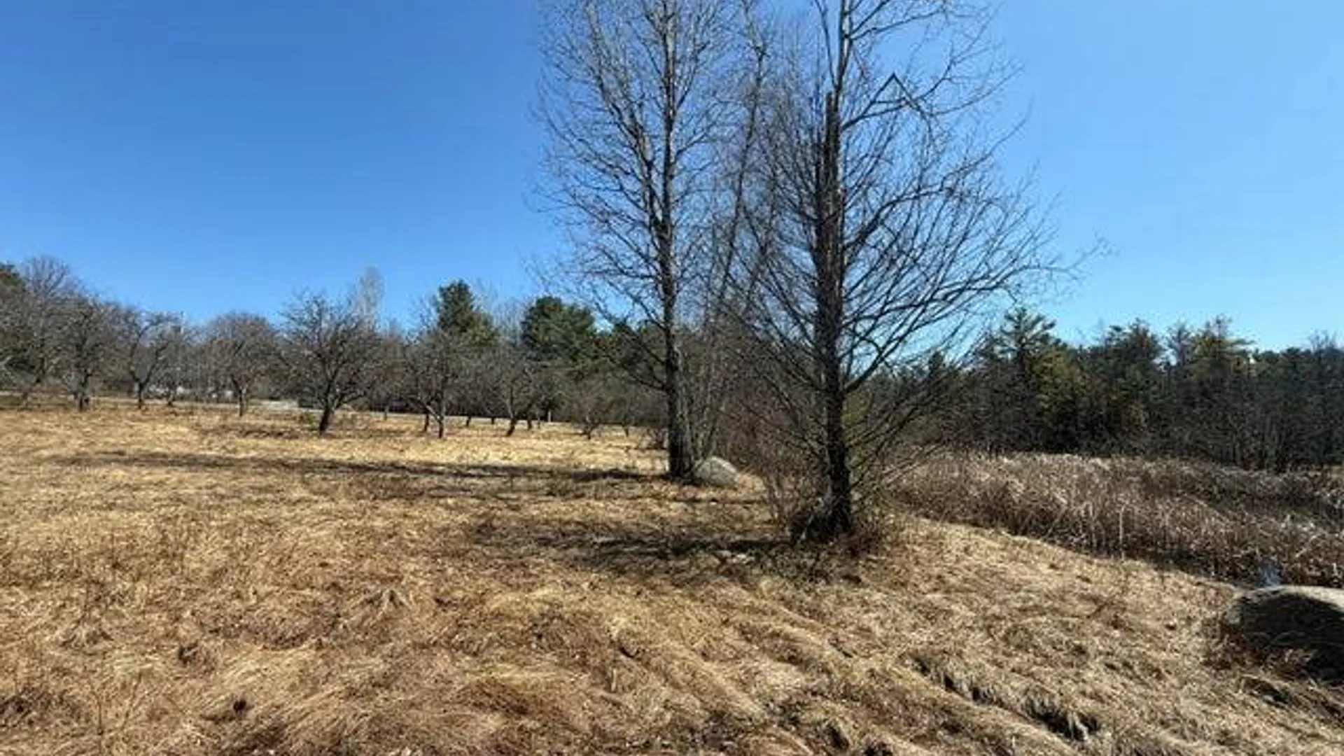 Property at L172 Greens Corner Rd, Galway, NY 12074 3