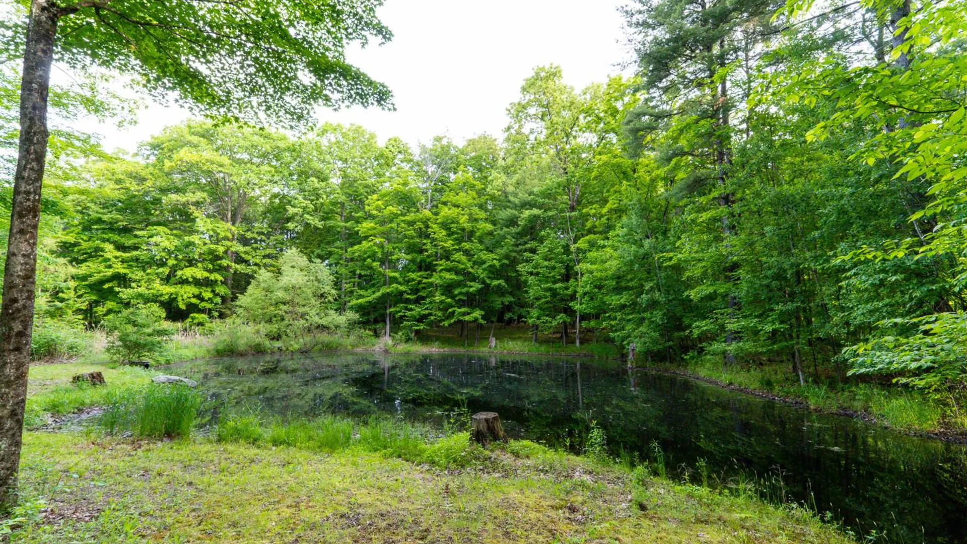 Property at 390 Ridge Rd, Schodack Landing, NY 12156 48