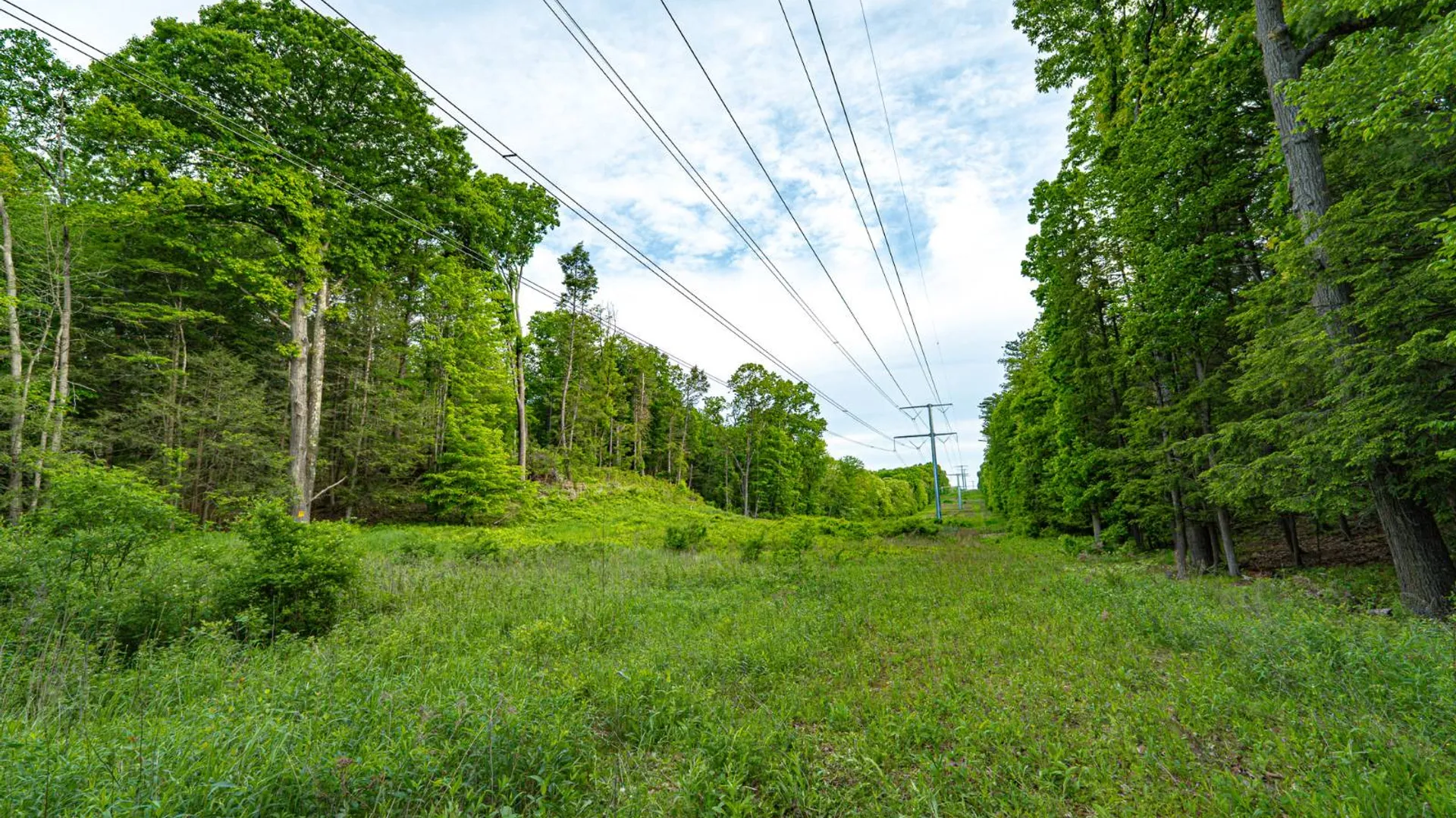 Property at 390 Ridge Rd, Schodack Landing, NY 12156 53