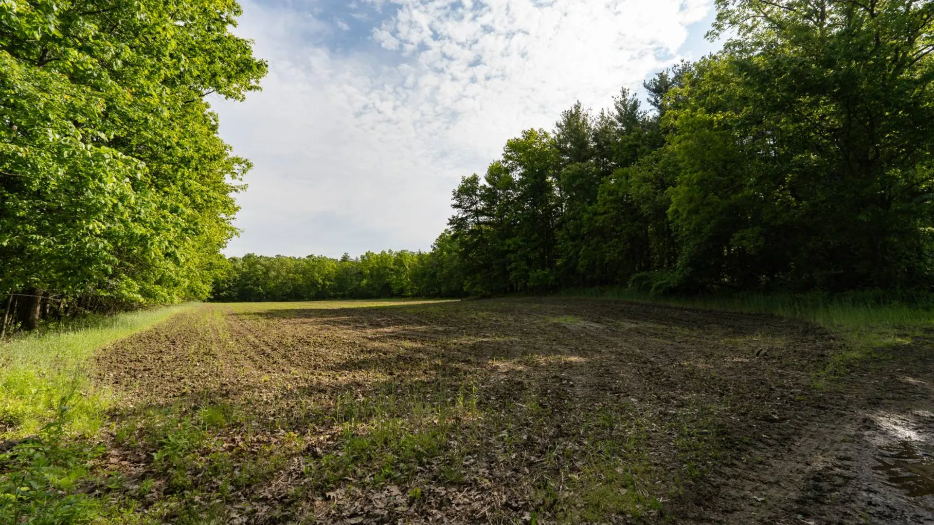 Property at 390 Ridge Rd, Schodack Landing, NY 12156 64