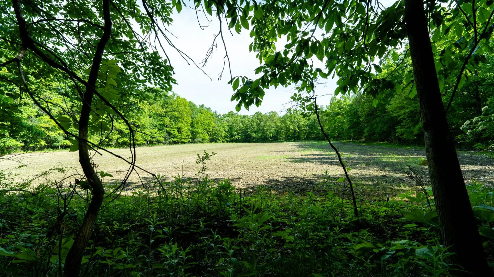 Property at 390 Ridge Rd, Schodack Landing, NY 12156 65