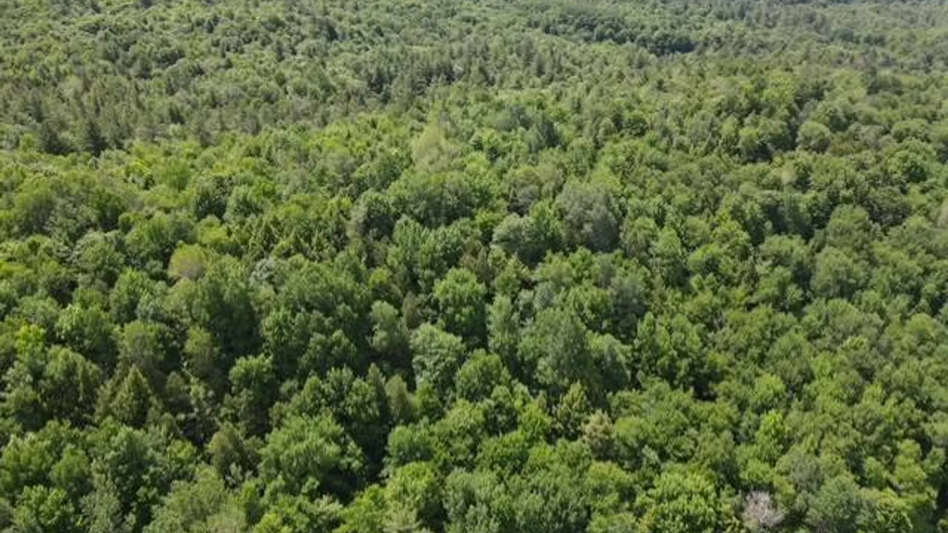 Property at SH 3 State Highway 3, Pitcairn, NY 13642 10