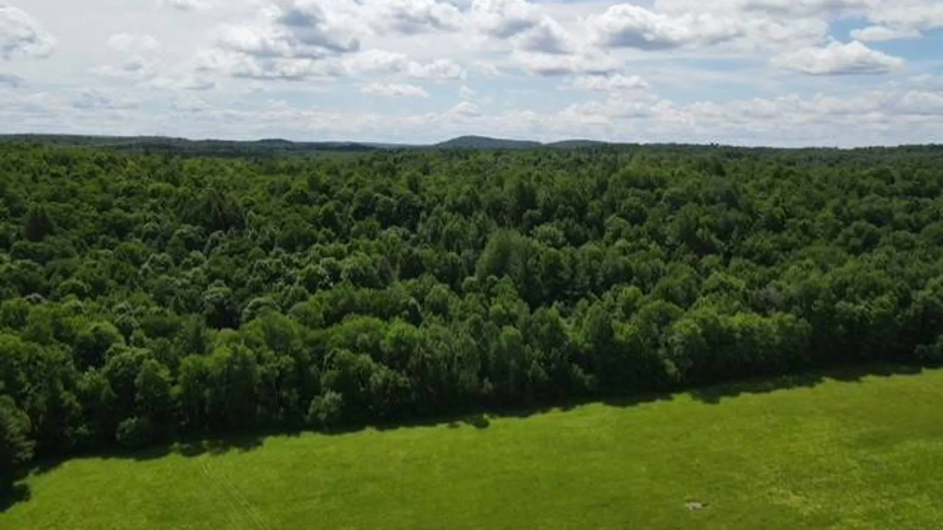 Property at SH 3 State Highway 3, Pitcairn, NY 13642 11