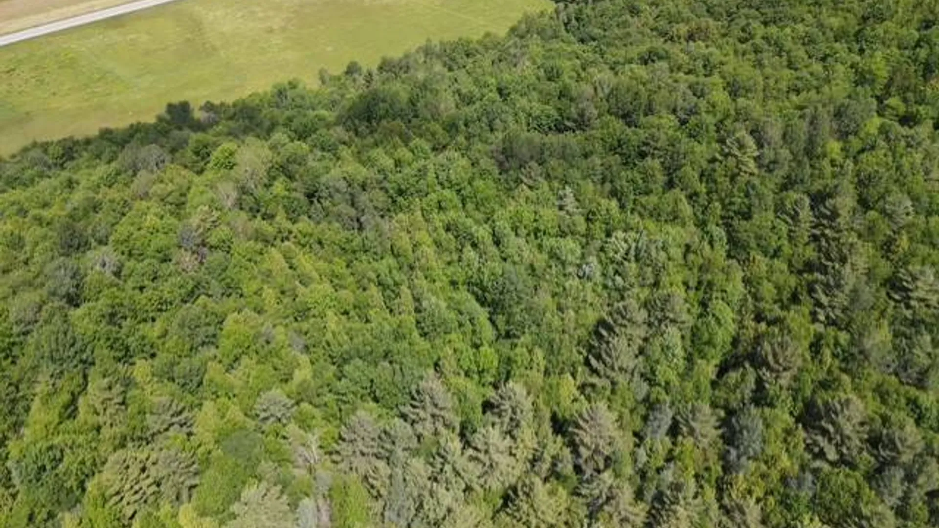 Property at SH 3 State Highway 3, Pitcairn, NY 13642 2