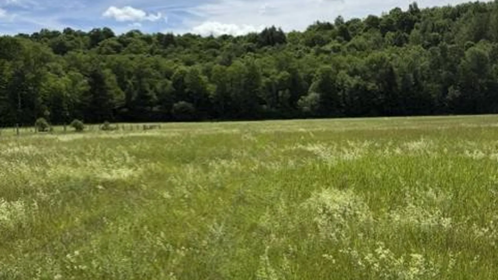 Property at SH 3 State Highway 3, Pitcairn, NY 13642 22