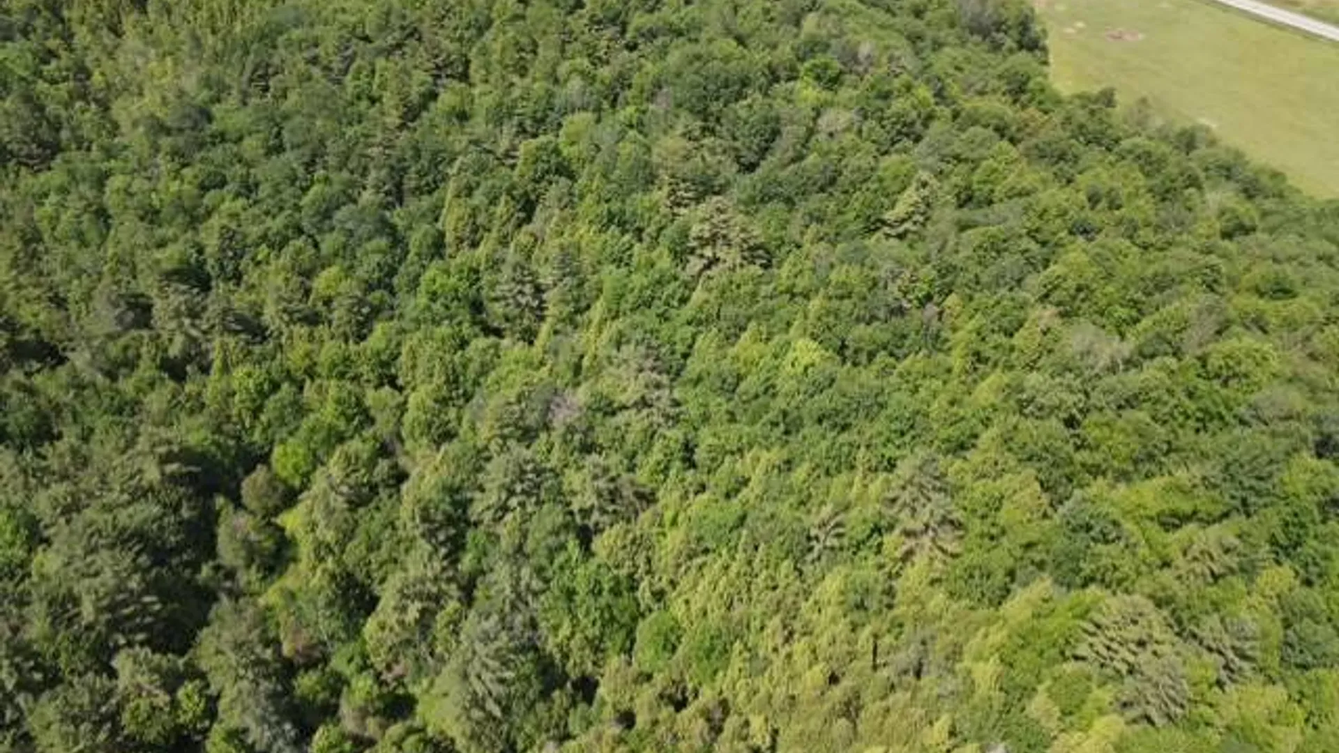 Property at SH 3 State Highway 3, Pitcairn, NY 13642 3
