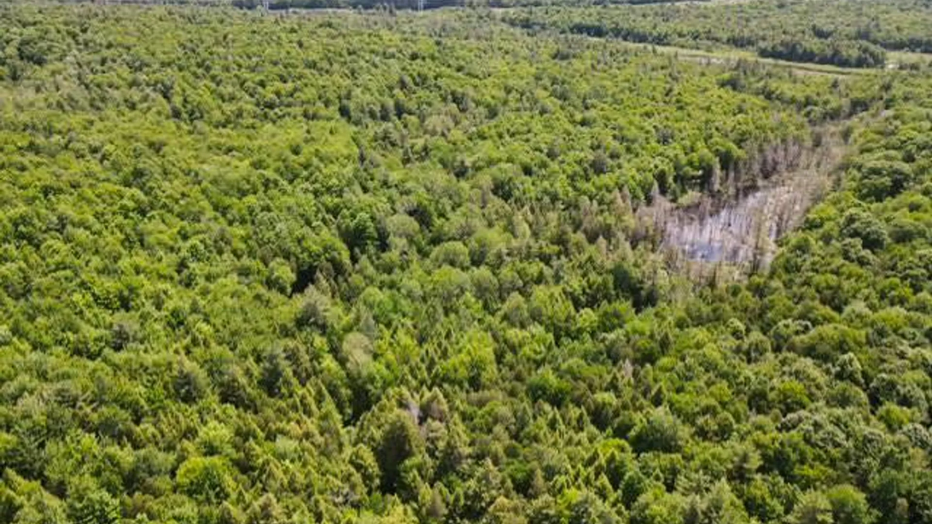 Property at SH 3 State Highway 3, Pitcairn, NY 13642 4