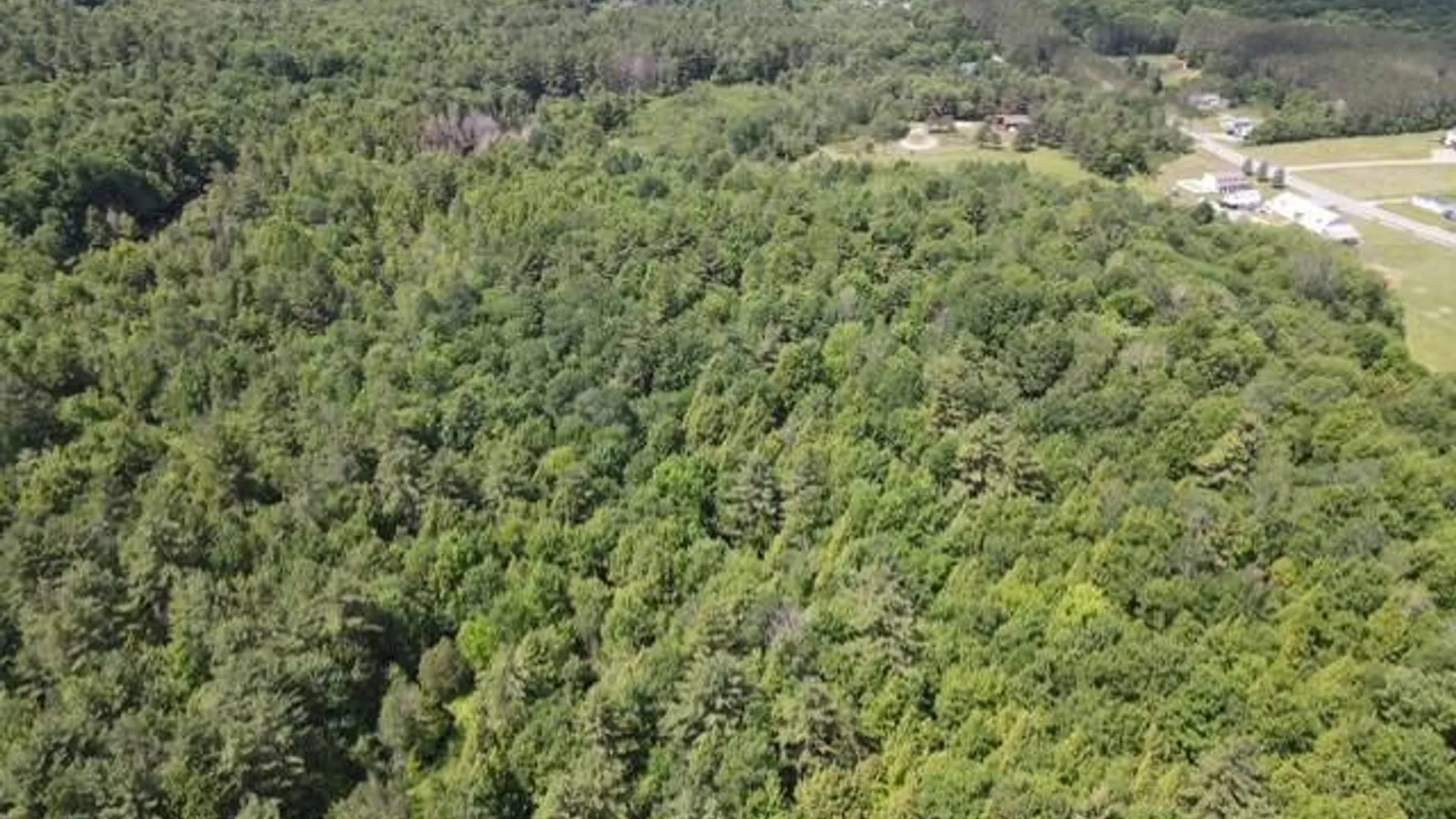 Property at SH 3 State Highway 3, Pitcairn, NY 13642 5