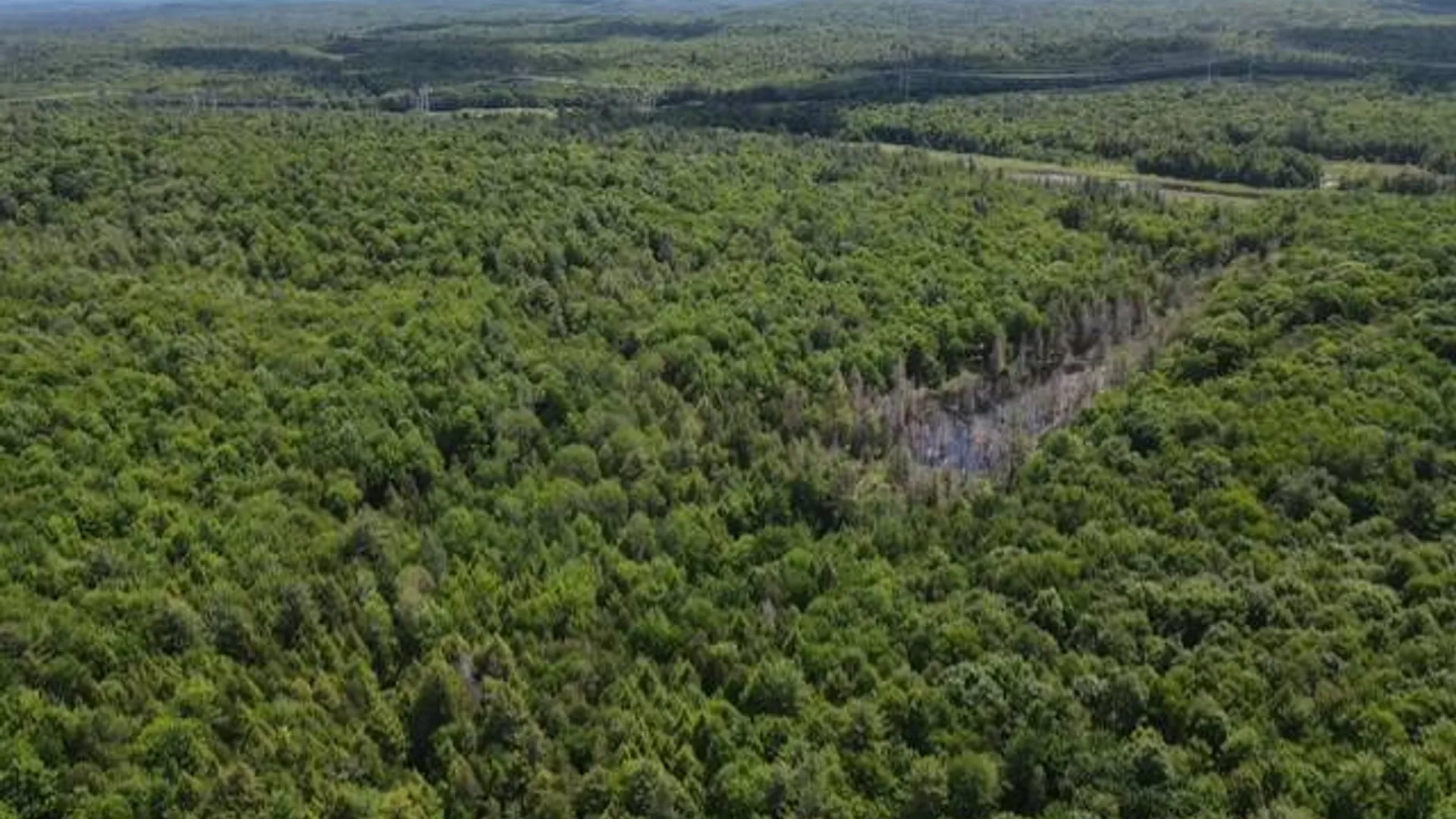 Property at SH 3 State Highway 3, Pitcairn, NY 13642 6