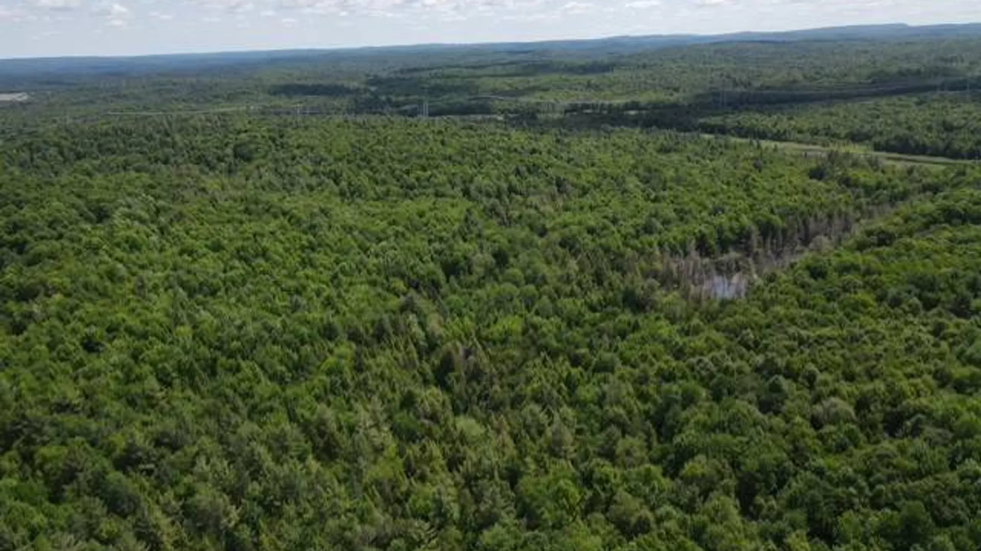 Property at SH 3 State Highway 3, Pitcairn, NY 13642 7