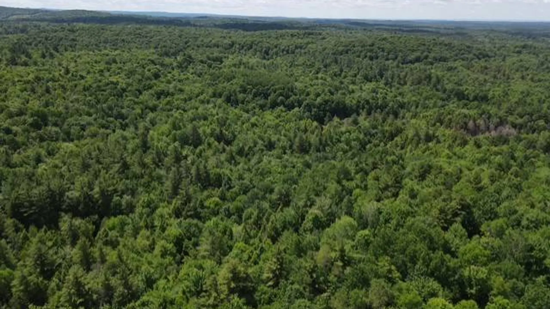 Property at SH 3 State Highway 3, Pitcairn, NY 13642 8