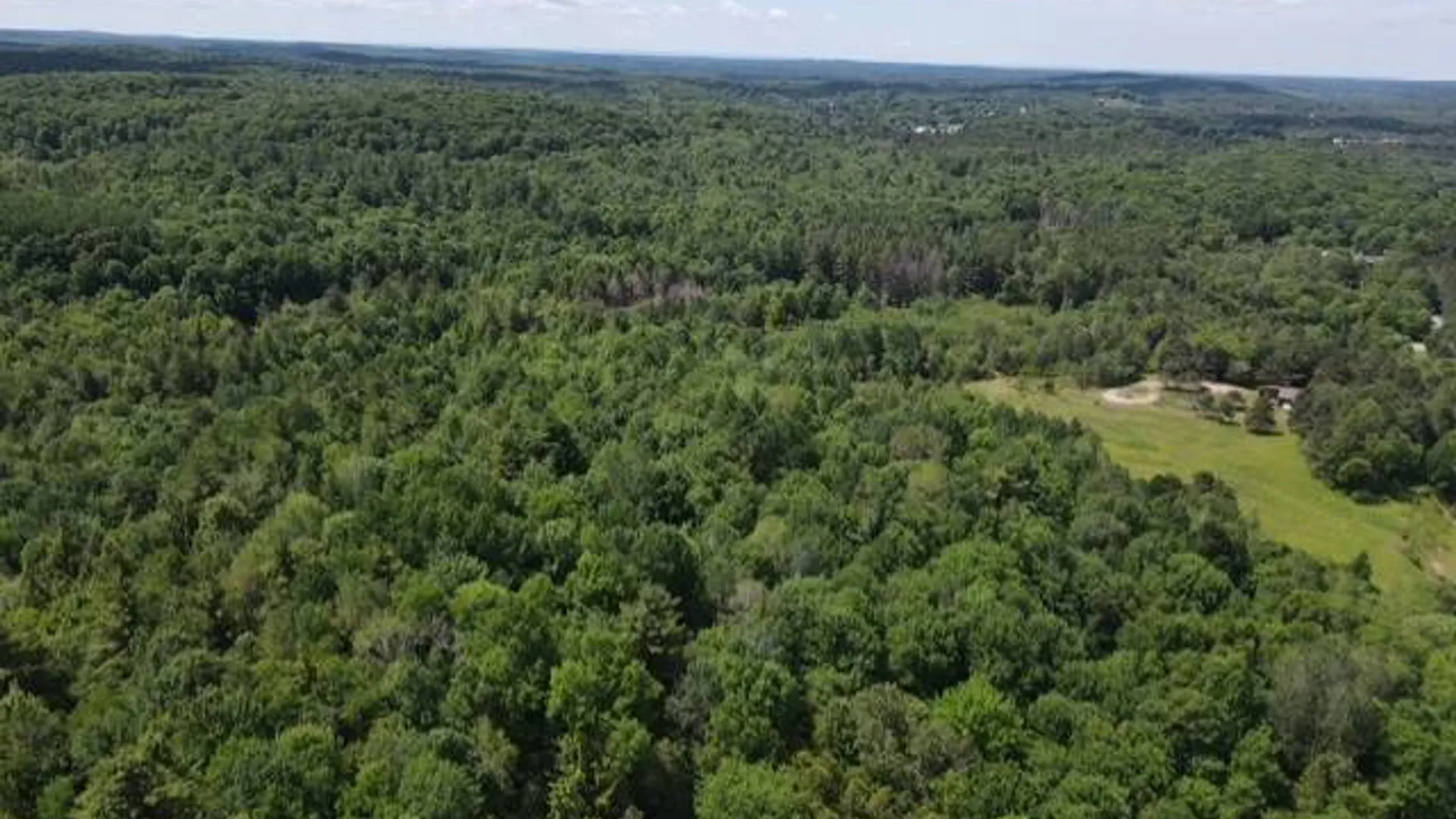 Property at SH 3 State Highway 3, Pitcairn, NY 13642 9