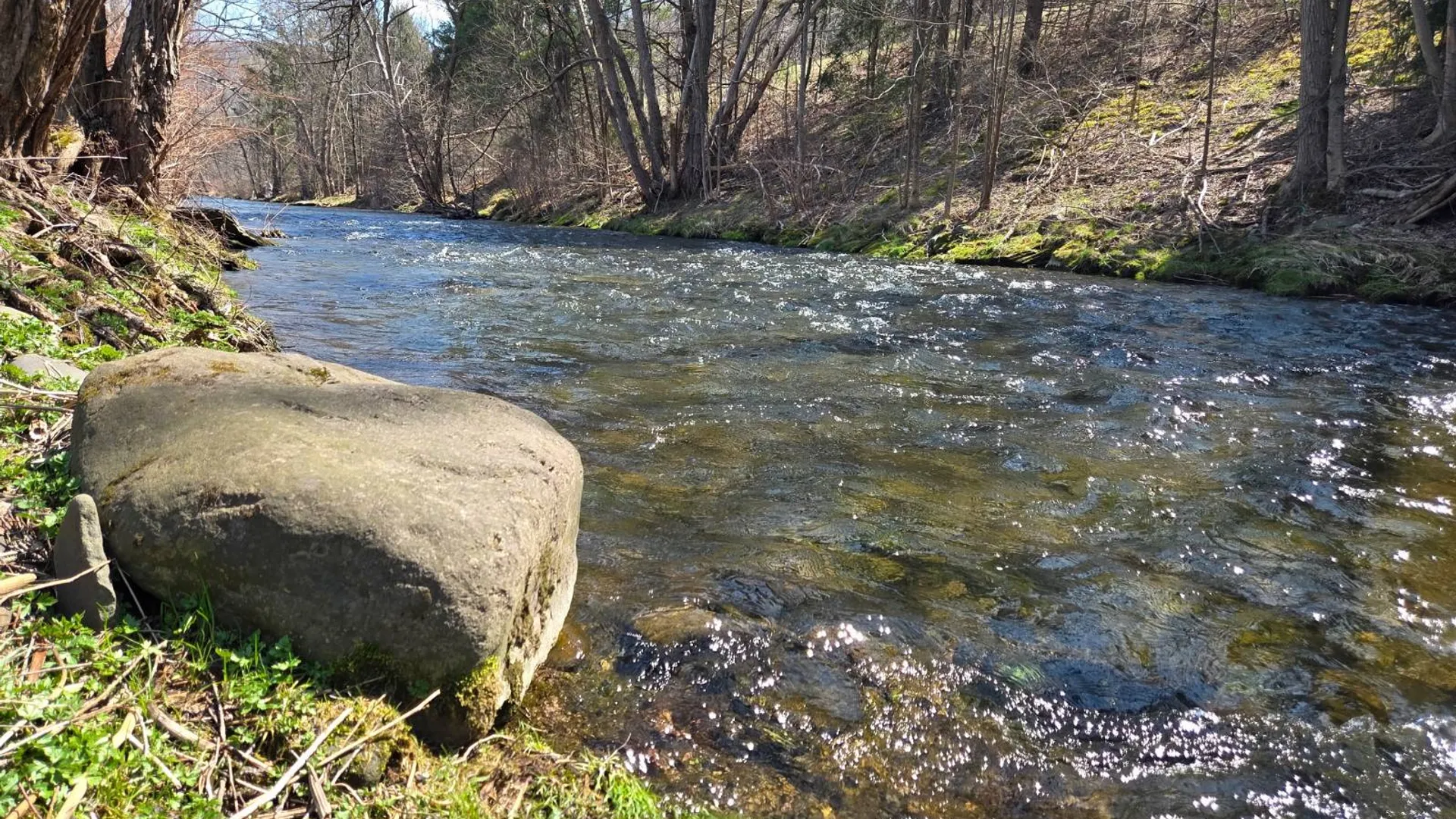 Property at 784 Old Route 28, Fleischmanns, NY 12430 5
