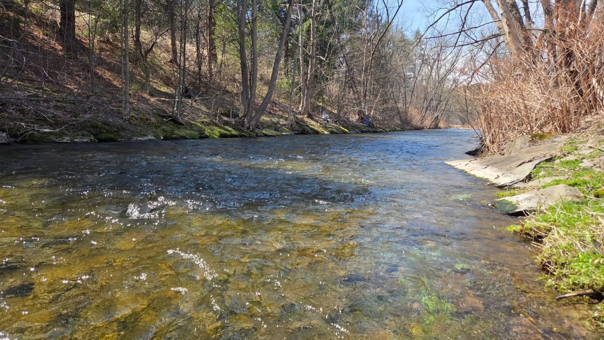Property at 784 Old Route 28, Fleischmanns, NY 12430 6