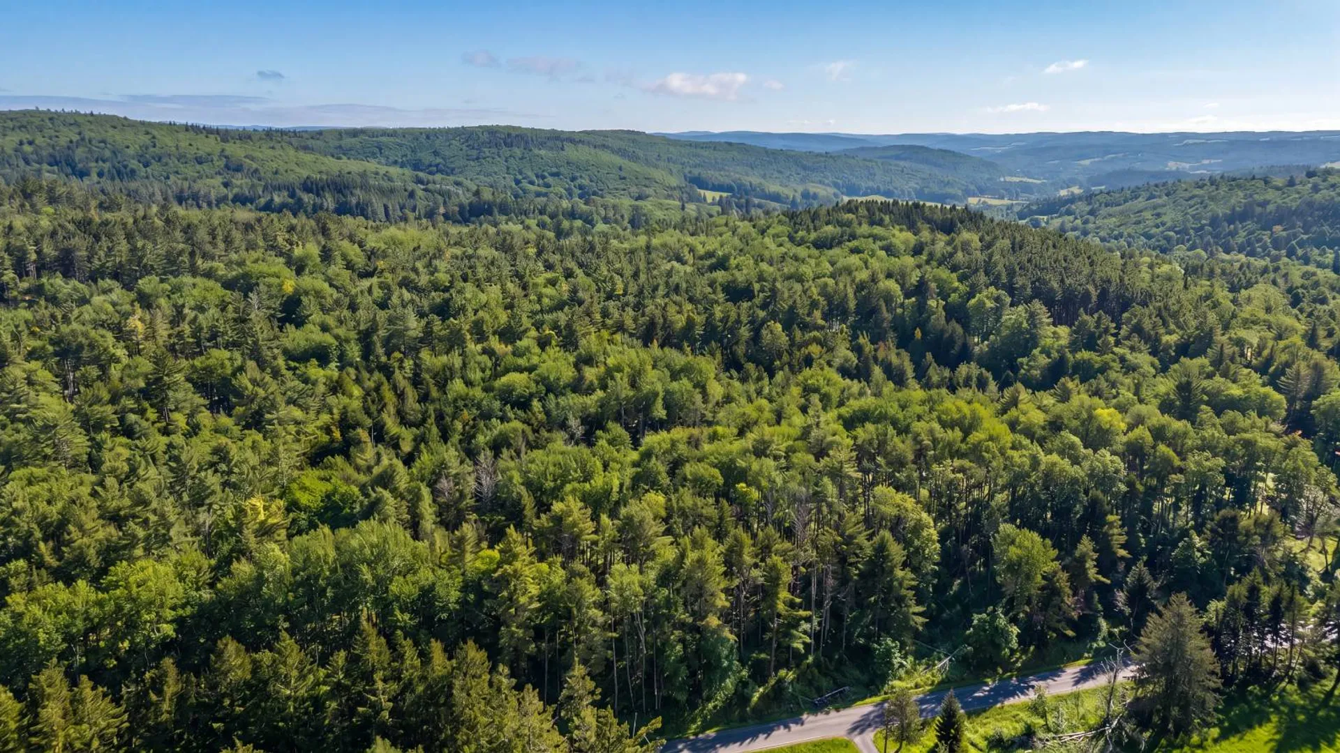 Property at L29 County Highway 45, Hartwick, NY 13807 5