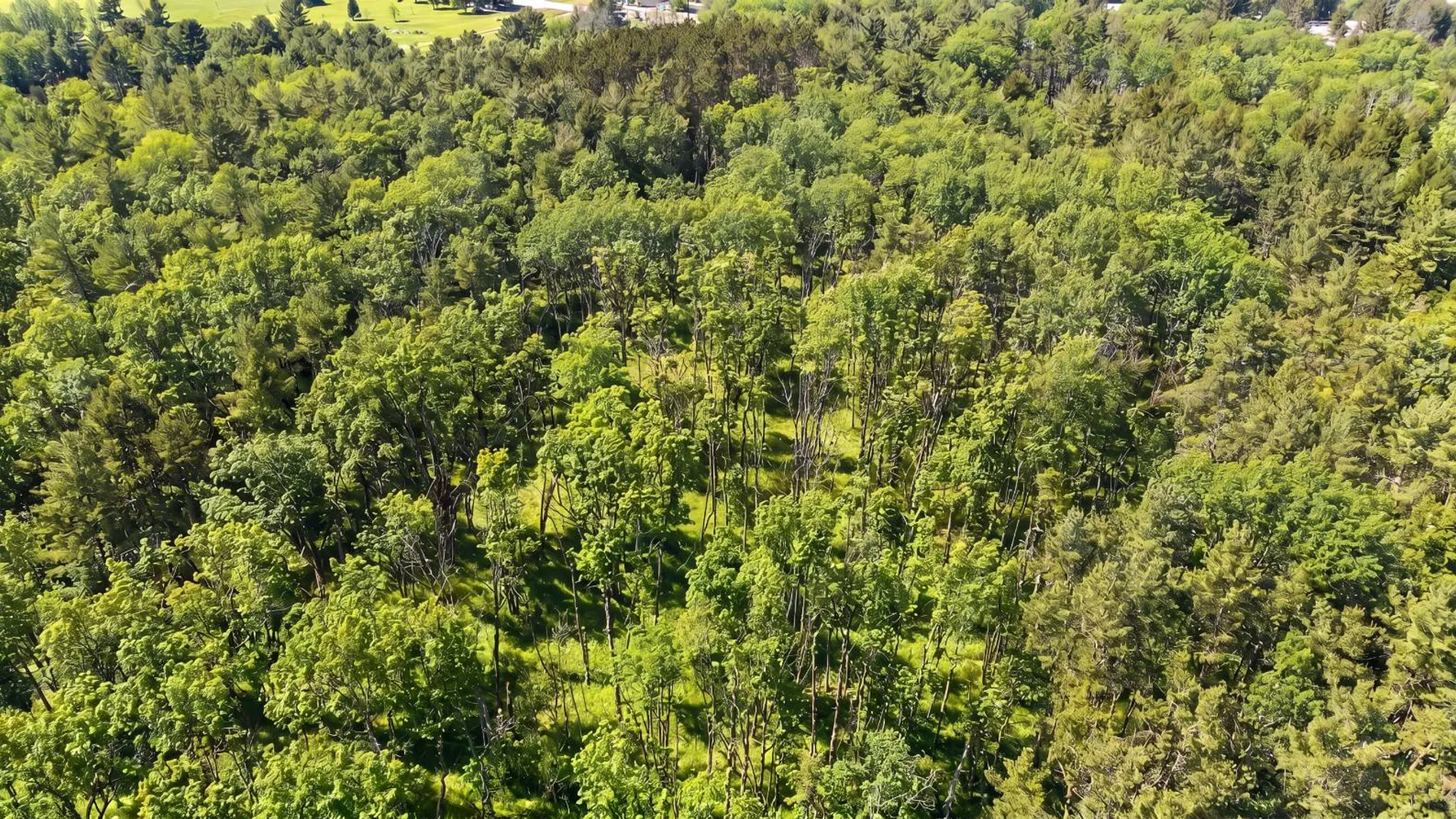 Property at L29 County Highway 45, Hartwick, NY 13807 9
