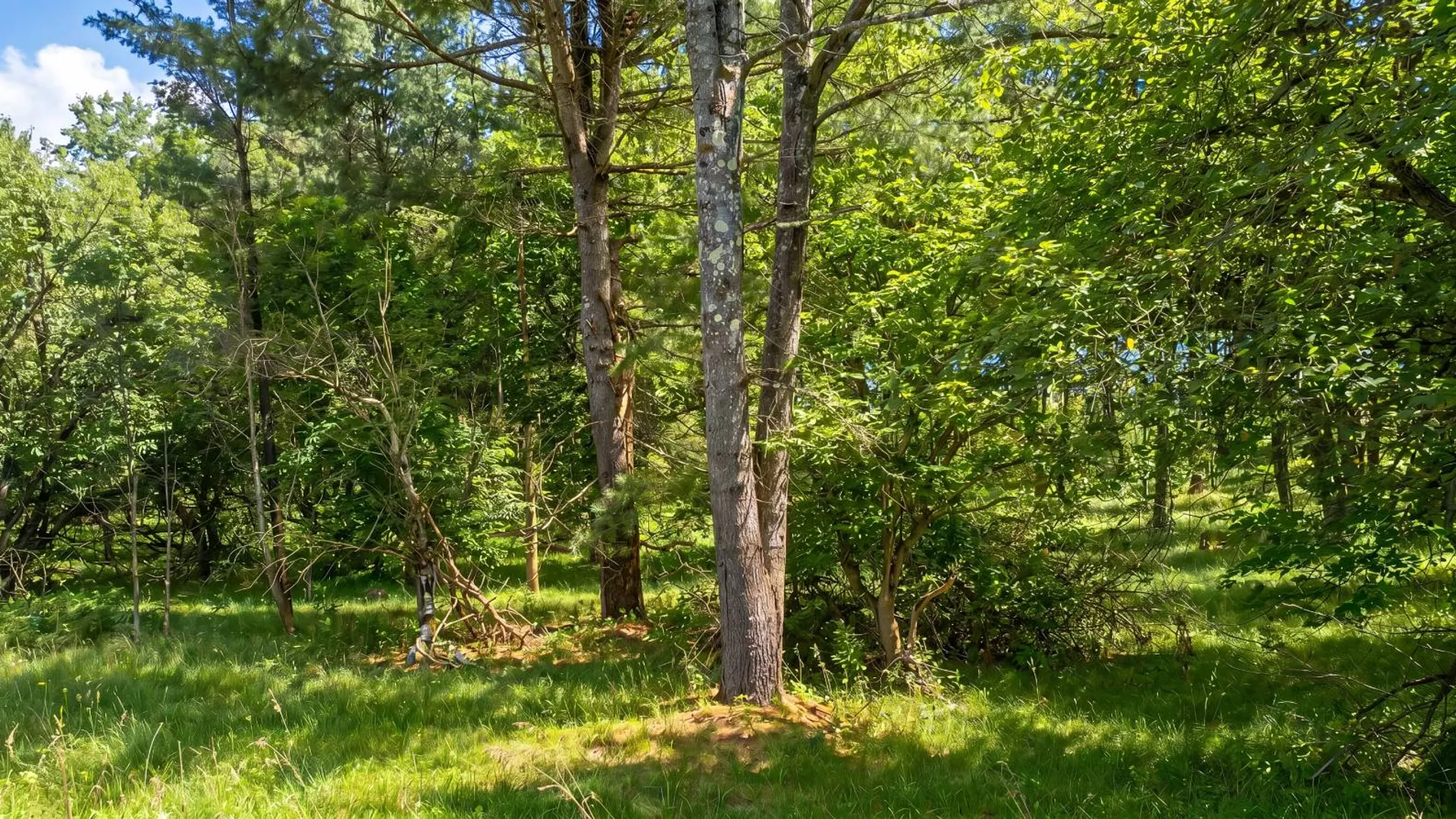 Property at L29 County Highway 45, Hartwick, NY 13807 10